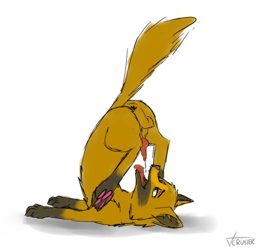 Animal Genitalia Rule 34 Image