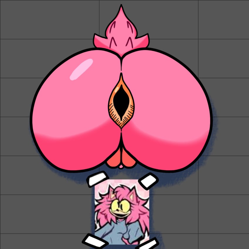 amy_rose anus ass ass_focus asshole eimy eimy_(rabbitseasonart) fercholito glory_hole looking_at_ass photo pov sonic.exe sonic.exe_(series)