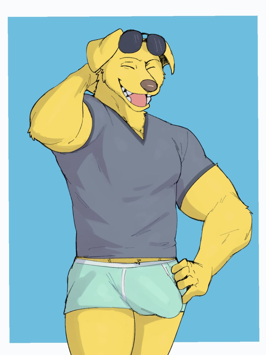 2024 3:4 anthro big_bulge biped bird_dog blue_background bojack_horseman border boxer_briefs bulge canid canine canis closed_eyes clothed clothing colored_seam_underwear domestic_dog erection erection_under_clothing eyebrows eyewear eyewear_on_head fur green_boxer_briefs green_clothing green_underwear hand_behind_head hand_on_hip hi_res huge_bulge hunting_dog jrjresq labrador male male_only mammal mr._peanutbutter muscular muscular_anthro muscular_male netflix open_mouth open_smile retriever shirt simple_background smile solo solo_male standing sunglasses sunglasses_on_head teeth tongue topwear tuft underwear white_border white_seam_boxer_briefs white_seam_underwear