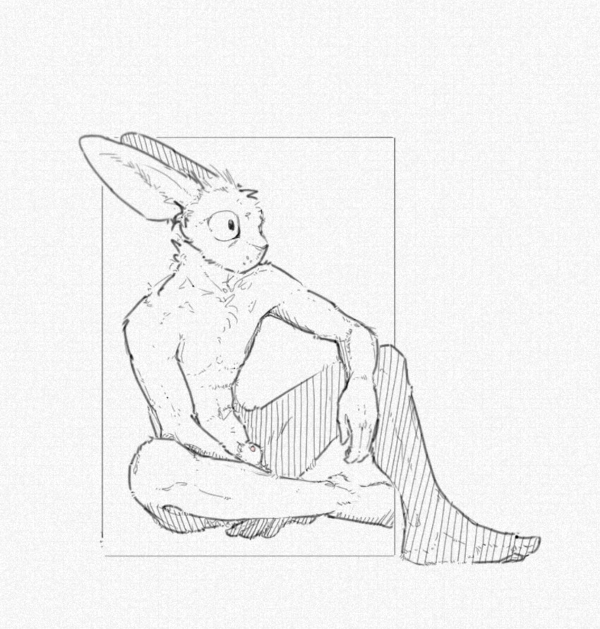 animal_genitalia anthro casual_nudity genitals hi_res lagomorph leporid male mammal penis penis_tip rabbit resrabbutt sheath simple_background solo