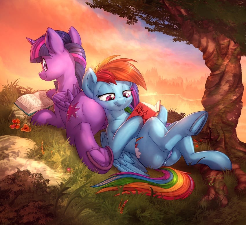 2017 alicorn anus ass book butt_pillow caboni32 colored colorized cutie_mark david_delanty duo equine feathered_wings feathers female feral friendship_is_magic grass half-closed_eyes highres hooves horn mammal multicolored_hair my_little_pony outdoors pegasus pussy rainbow_dash_(mlp) rainbow_hair reading smile tree twilight_sparkle_(mlp) underhoof wings