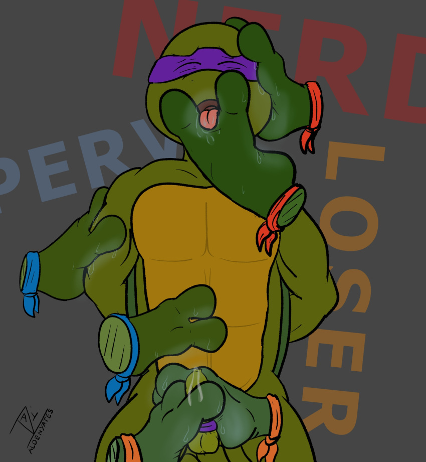 Donatello (Teenage Mutant Ninja Turtles) Rule 34 Image