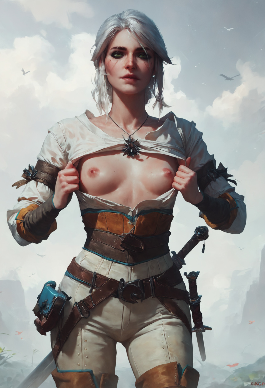 The Witcher (Series) Rule 34 Image