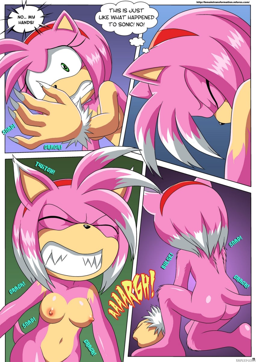 Amy Rose (Sega) Rule 34 Image