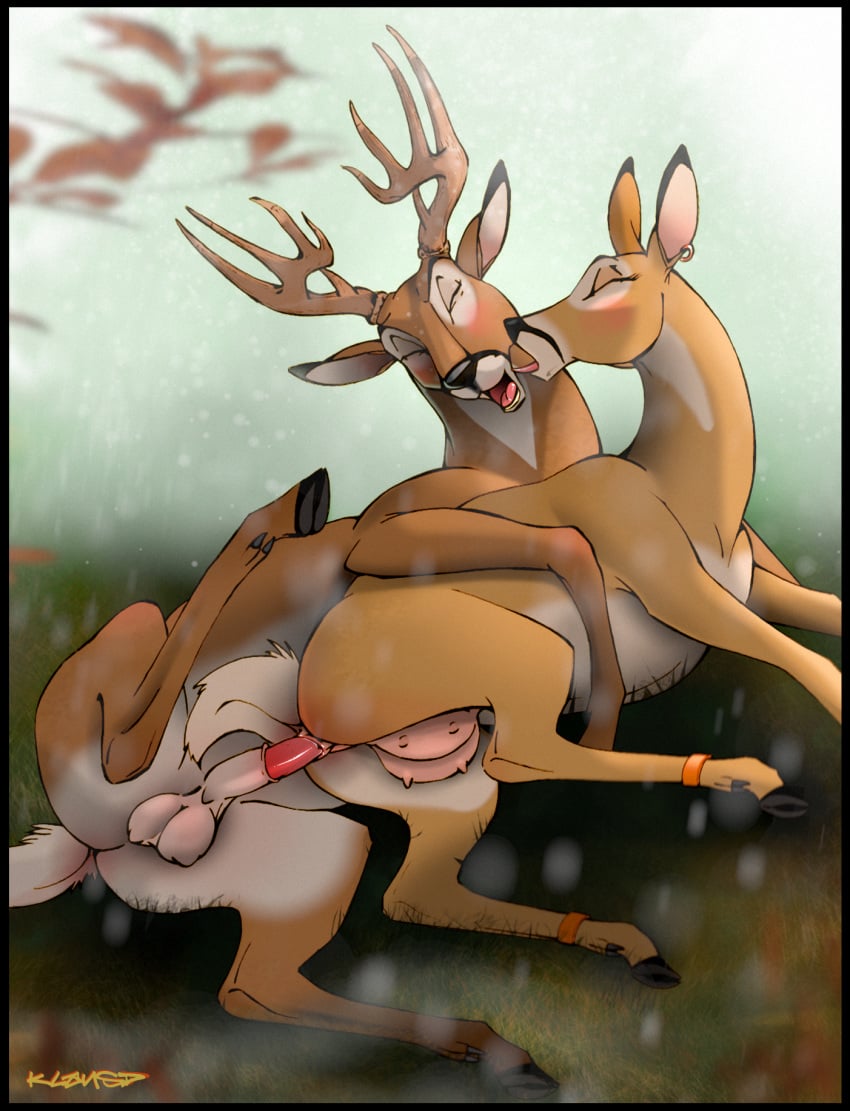 Animal Genitalia Rule 34 Image