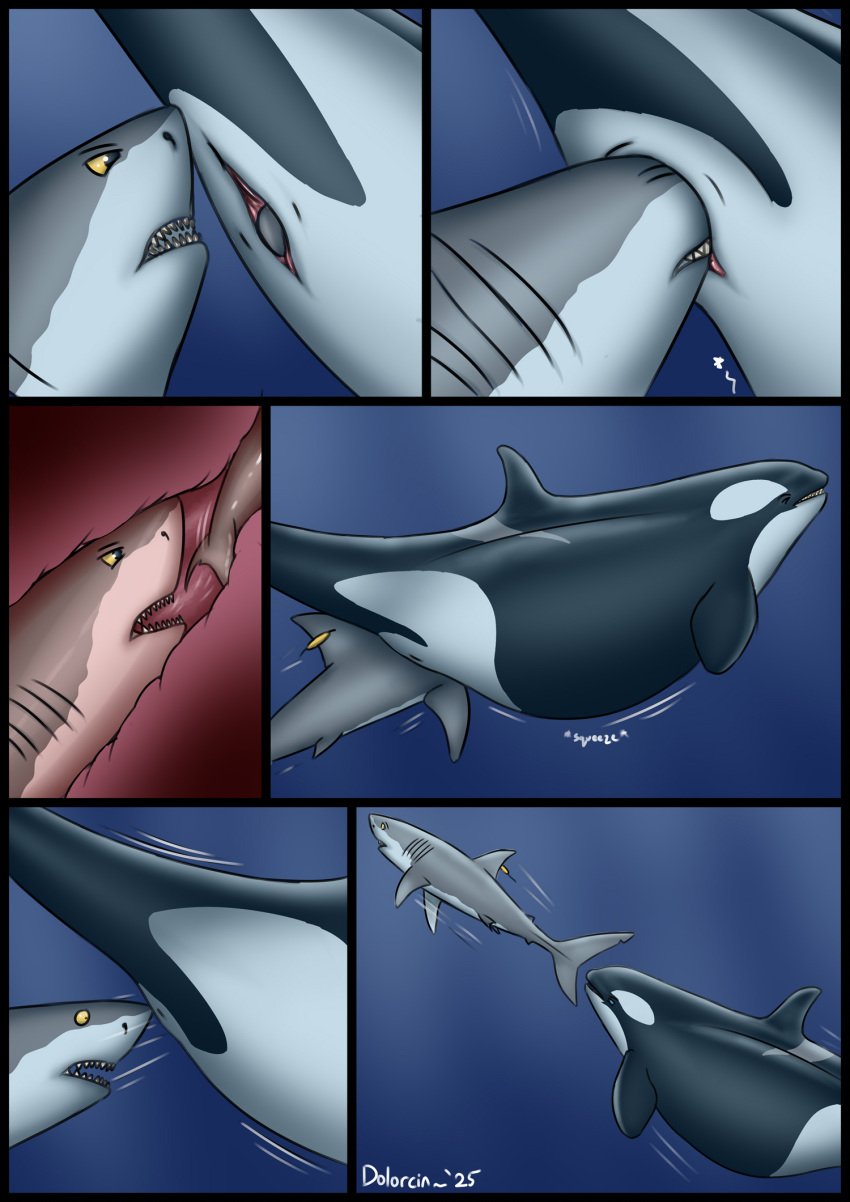 2025 ambiguous_feral ambiguous_gender ambiguous_prey belly big_belly cetacean comic dolorcin dolphin dorsal_fin female female/ambiguous female_feral female_pred feral feral_pred feral_prey fin fish forced fully_inside genitals gills group hi_res internal larger_female larger_pred mammal mammary_slits marine multiple_prey oceanic_dolphin orca partially_inside pectoral_fin pelvic_fins pussy shark size_difference smaller_ambiguous toothed_whale trio unbirthing underwater unwilling_pred vaginal_penetration vore water year yellow_eyes