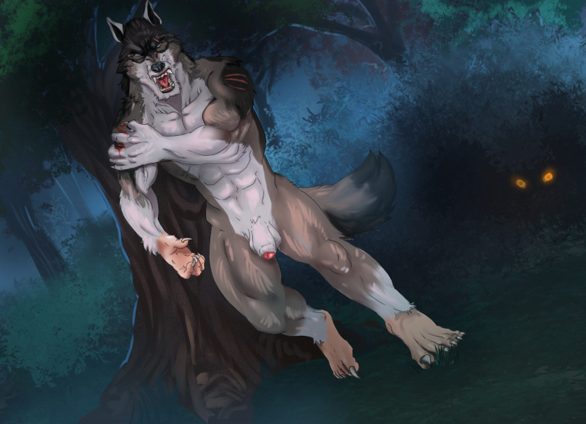 2017 blood blue_eyes canine digital_media_(artwork) forest male male_only mammal night penis rakan_(werewolf) scar scrappyvamp transformation tree were werewolf yellow_eyes