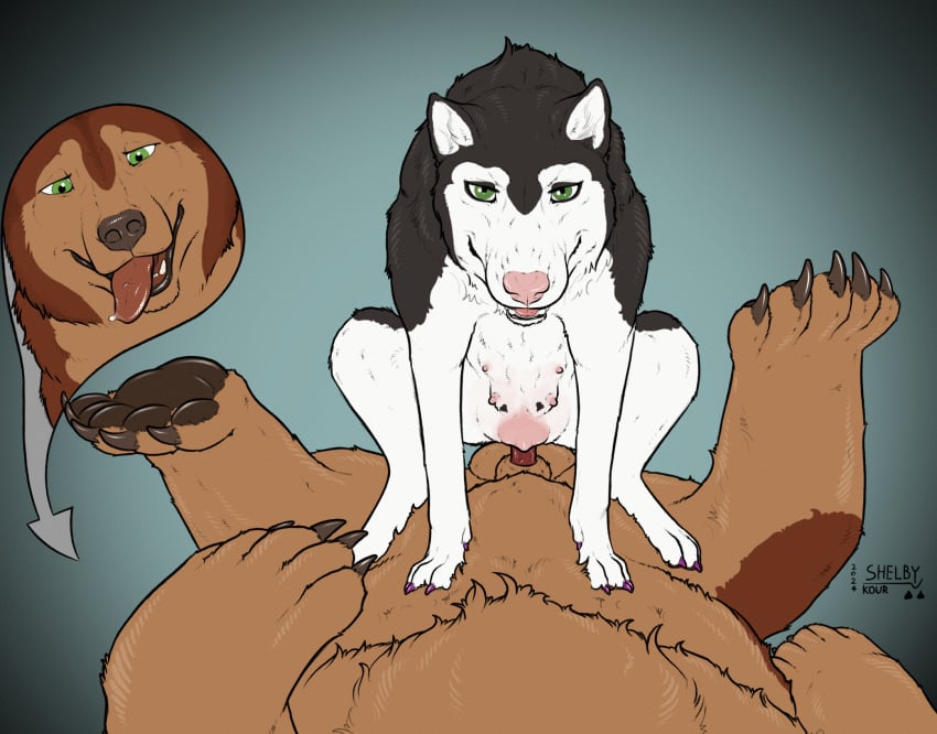 animal_genitalia animal_pussy balls bear black_body black_fur brown_body brown_fur canid canine canine_genitalia canine_pussy canis claws colored_nails cowgirl_position domestic_dog duo erection female female_on_top female_penetrated feral feral_on_feral feral_penetrated feral_penetrating feral_penetrating_feral from_front_position fur genitals green_eyes hi_res husky hybrid interspecies knot_root knotting large_insertion larger_male looking_at_viewer lying male male/female male_on_bottom male_penetrating male_penetrating_female mammal multi_nipple nails nipples nordic_sled_dog on_back on_bottom on_top pawpads penetration penile penile_penetration penis penis_in_pussy power_bottom pussy sex shelby_(sketchy_shelby) size_difference sketchy_shelby smaller_female smaller_penetrated spitz toe_claws tongue tongue_out vaginal_knotting vaginal_penetration
