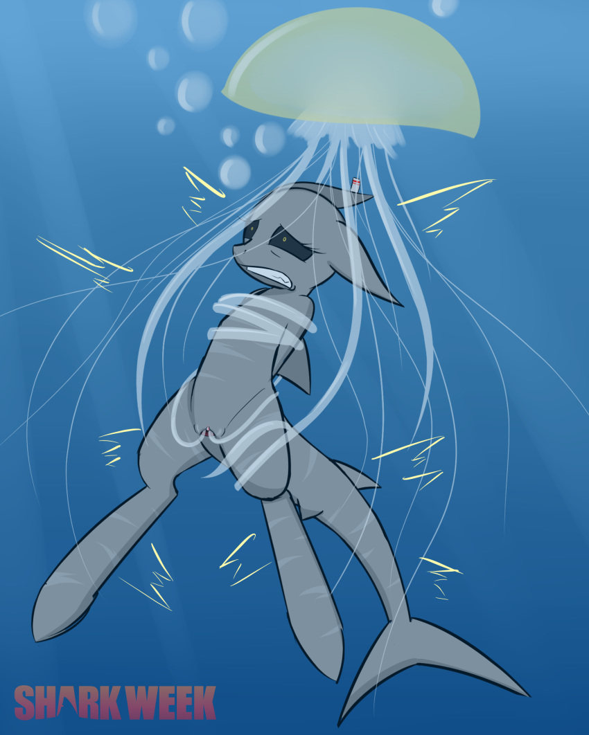 digital_media_(artwork) female feral fish gretta hi_res jellyfish marine my_little_pony nude outside pj-nsfw pussy shark shark_week simple_background solo water