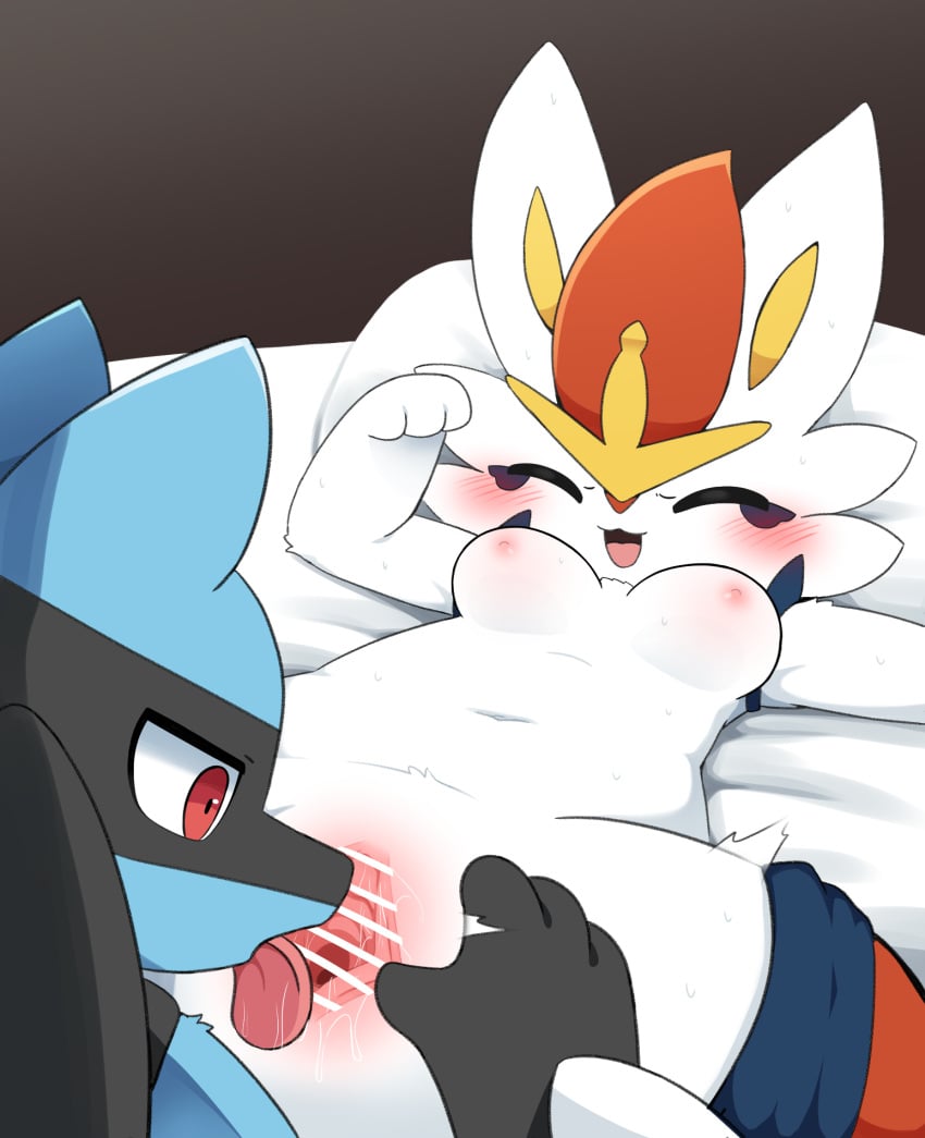 Pokemon (Species) Rule 34 Image