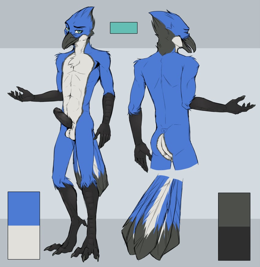 anthro ass avian balls beak bird black_feathers black_penis blue_eyes blue_feathers blue_jay corvid erection feathers humanoid_penis ikazu invalid_tag male model_sheet navel nolan_(nosassymon) penis scales solo standing tagme white_feathers