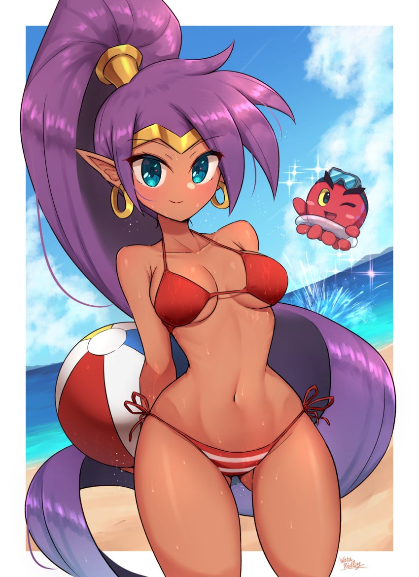 arms_behind_back artist_name ball bare_shoulders beach beachball bikini blue_eyes blue_sky breasts cloud cloudy_sky collarbone commentary_request dark-skinned_female dark_skin day earrings female gluteal_fold hair_ornament high_ponytail highres jewelry long_hair looking_at_viewer medium_breasts ocean outdoors pointy_ears ponytail purple_hair shantae shantae_(character) shiny_skin side-tie_bikini_bottom signature simple_background sky smile striped_bikini striped_clothes swimsuit thighs tiara wakaba_(wata_ridley) water water_drop wet