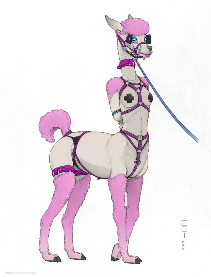 2024 addie_(ecmajor) alpaca alpaca_taur artist_logo bit_gag blinders blue_eyes bondage bound camelid camelid_taur collar dated ecmajor english_text eyewear female fur gag hair hands_behind_back harness hi_res leash lips logo mammal mammal_taur pasties pink_body pink_fur pink_hair pink_lips semi-anthro shaved_pussy simple_background solo taur text url white_background