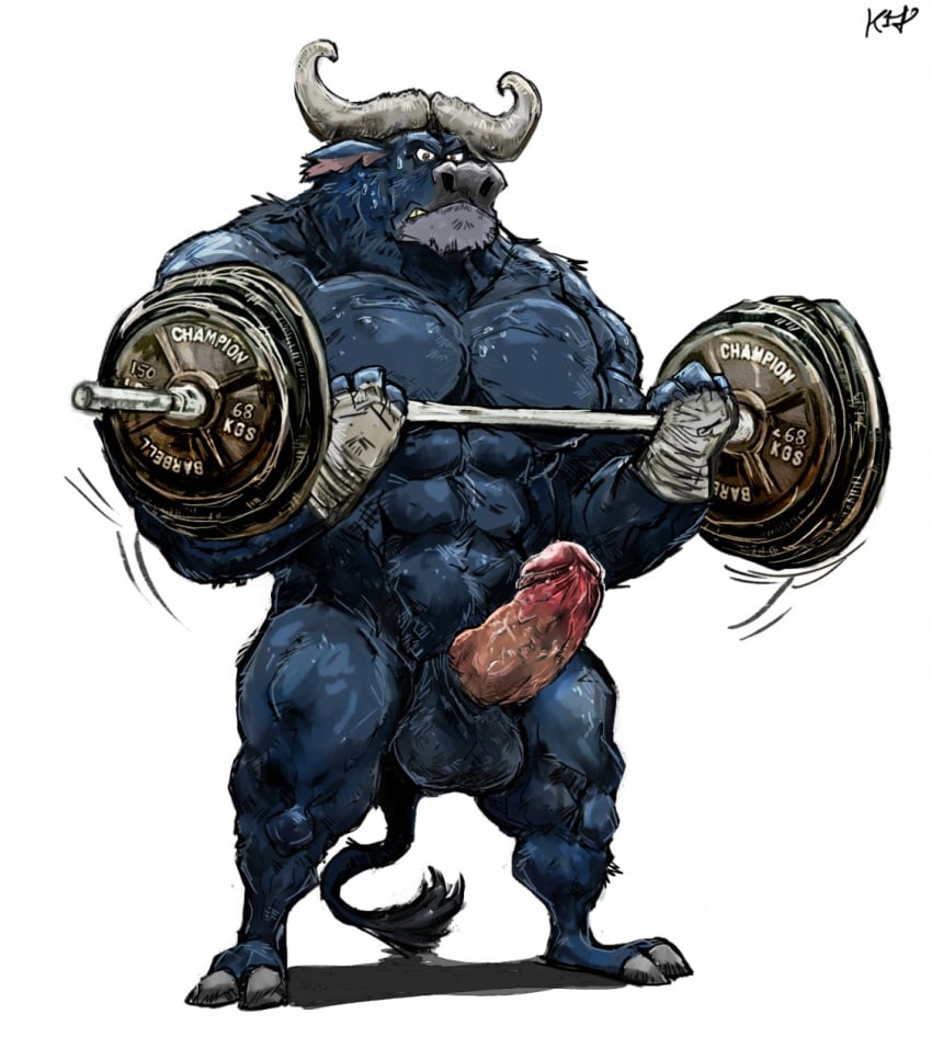 anthro aokmaidu balls bovine buffalo chief_bogo disney erection exercise humanoid_penis male male_only mammal muscular nude penis solo weightlifting workout zootopia