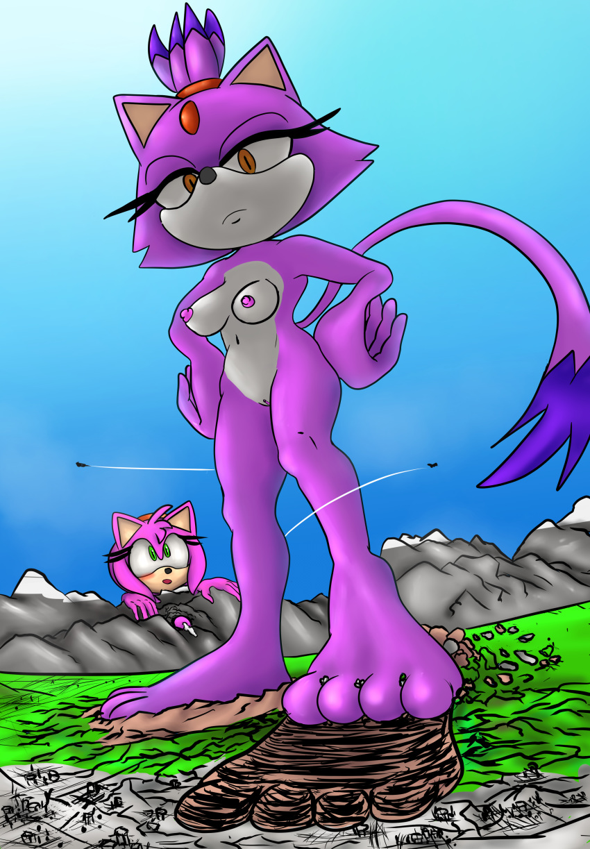 1futa absurd_res aircraft airplane amy_rose anthro blaze_the_cat blush breasts city cum destruction feline female futanari general_godzilla green_eyes hair hedgehog hi_res intersex macro mammal mountain nipples nude penis pussy solo sonic_(series) stomping video_games