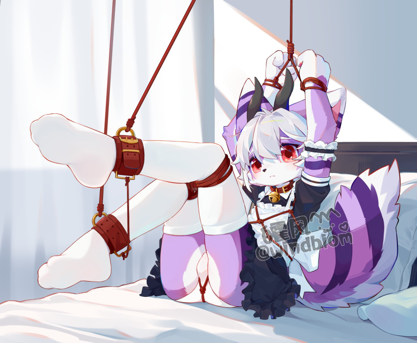 anthro balls_outline bed bell bell_collar bondage bound bulge clothing collar cuff_(restraint) detailed_bulge distracting_watermark felid feline femboy footwear foxynovaowo fur furniture genital_outline hi_res horn kemono maid_uniform male male_only mammal pillow purple_body purple_fur red_eyes restraints socks solo thigh_socks thighhighs underwear uniform watermark white_socks windbiom wrists_tied