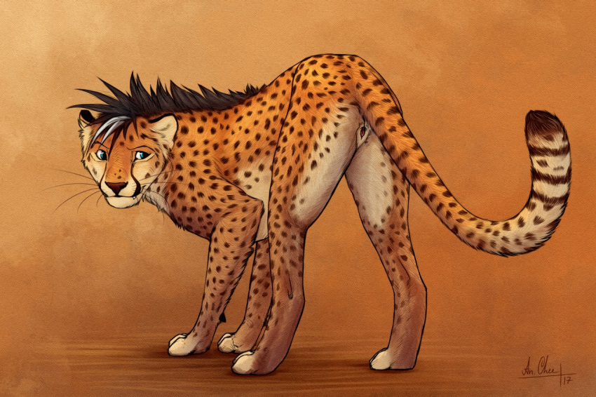 2017 Rule 34 Image