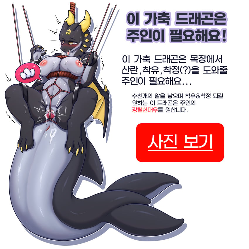 absurd_res advertisement anal anthro anus big_breasts black_body black_skin black_tail bodily_fluids bondage bondage bound breasts cetacean claws dildo dolphin dragon drooling egg exposed_breasts female fin fixed_dildo fixed_toy fixed_vibrator forced forced_exposure forced_orgasm gaping gaping_anus genital_fluids genitals hi_res horn hybrid korean_text leaking_milk looking_pleasured mammal marine markings mythological_creature mythological_scalie mythology nipples orgasm pregnant presenting pussy saliva scalie sex_toy simple_background solo spread_legs spreading stickdora suspension suspension_bondage tail tail_fin text thick_tail tongue tongue_out toothed_whale translation_check translation_request vaginal_fluids vibrator white_background white_body white_skin wings yellow_claws yellow_eyes yellow_horn yellow_markings yellow_wings yvelkram_(character)