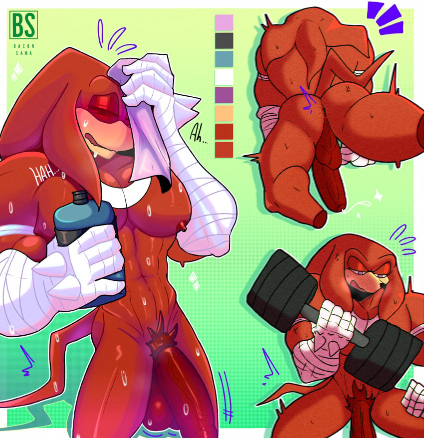 anus ass ass_visible_through_thighs asshole bacon_sama bara exercise exhibitionism gay hairy hairy_male knuckles_the_echidna male_only muscles nude_male pecs pectorals penis precum precum_drip red_body semi-erect six_pack sonic_(series) sonic_boom sonic_the_hedgehog_(series) stretching sweat sweating