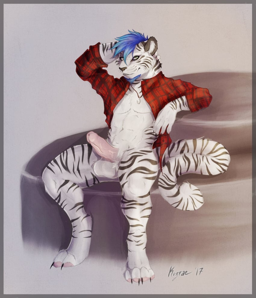 anthro balls black_fur black_stripes blue_hair clothed clothing feline flannel fur hair humanoid_penis kelnas male male_only mammal muscular open_shirt penis shirt simple_background sitting stripes tiger uncut white_fur