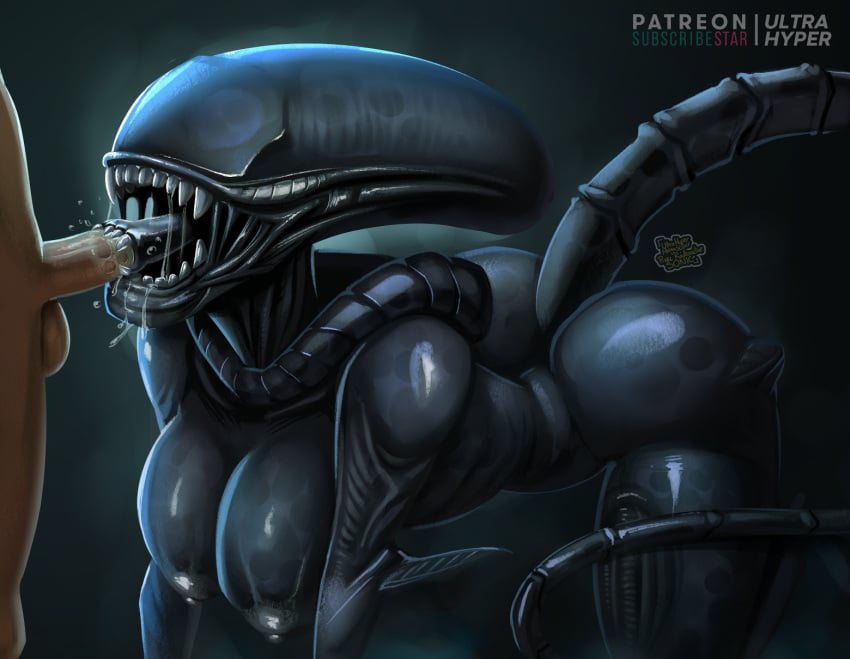 2024 alien alien_(franchise) alien_girl areola ass athletic_female balls big_breasts big_butt black_body black_skin bodily_fluids breasts digital_drawing_(artwork) digital_media_(artwork) drooling duo faceless_character faceless_human faceless_male fellatio female female_focus female_penetrated genital_danger_play genitals hi_res human human_on_humanoid human_penetrating human_penetrating_humanoid humanoid humanoid_penetrated interspecies kneeling light-skinned_male long_tail male male/female male_penetrating male_penetrating_female mammal not_furry nude oral oral_penetration patreon penetration penile penile_penetration penis saliva sex side_view solo_focus subscribestar tail teeth thick_thighs toothy_fellatio ultrahyper xenomorph xenophilia