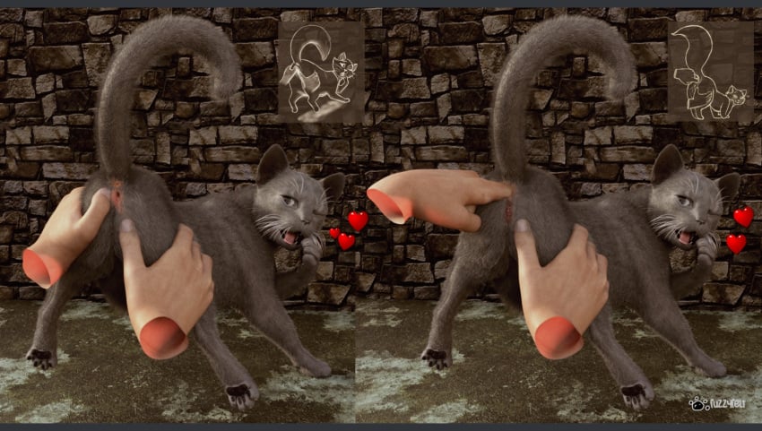 3d_(artwork) ambiguous_gender anal anal_fingering anus black_pawpads brick_wall digital_media_(artwork) disembodied_hand domestic_cat duo felid feline felis female female/ambiguous feral feral_girl feral_penetrated fingering fur fuzzyfelt genitals grey_body grey_fur heart human leg_grab light_body light_skin looking_at_viewer looking_back mammal open_mouth pawpads paws penetration pussy realistic realistic_feral signature spread_pussy spreading thigh_grab tongue wall_(structure) watermark whiskers zoophilia