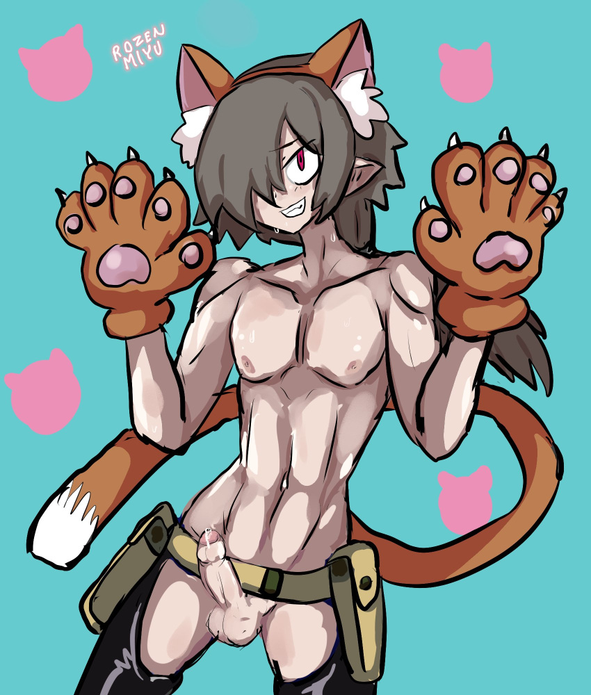 cat_boy cat_ears cat_tail completely_nude completely_nude_male disgaea erection gunner_(disgaea) male_only nippon_ichi_software penis rozenmiyu skinny