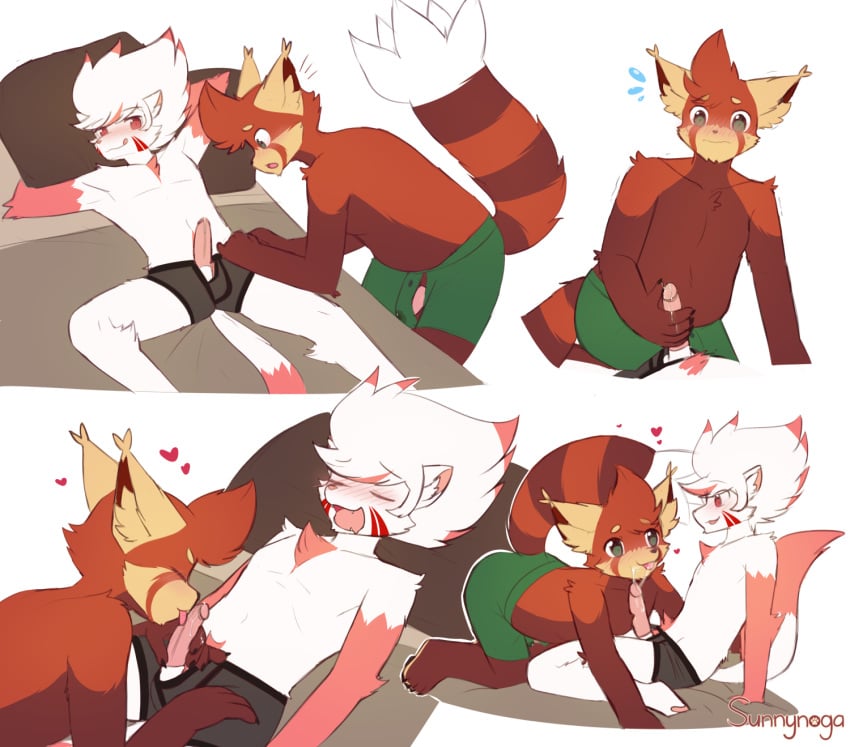 anthro blush boxers_(clothing) closed_eyes clothing embarrassed ferret green_eyes licking lying male mammal masturbation mustelid on_back oral penis penis_lick precum red_eyes red_panda sex sunnynoga tongue tongue_out underwear undressing yaoi