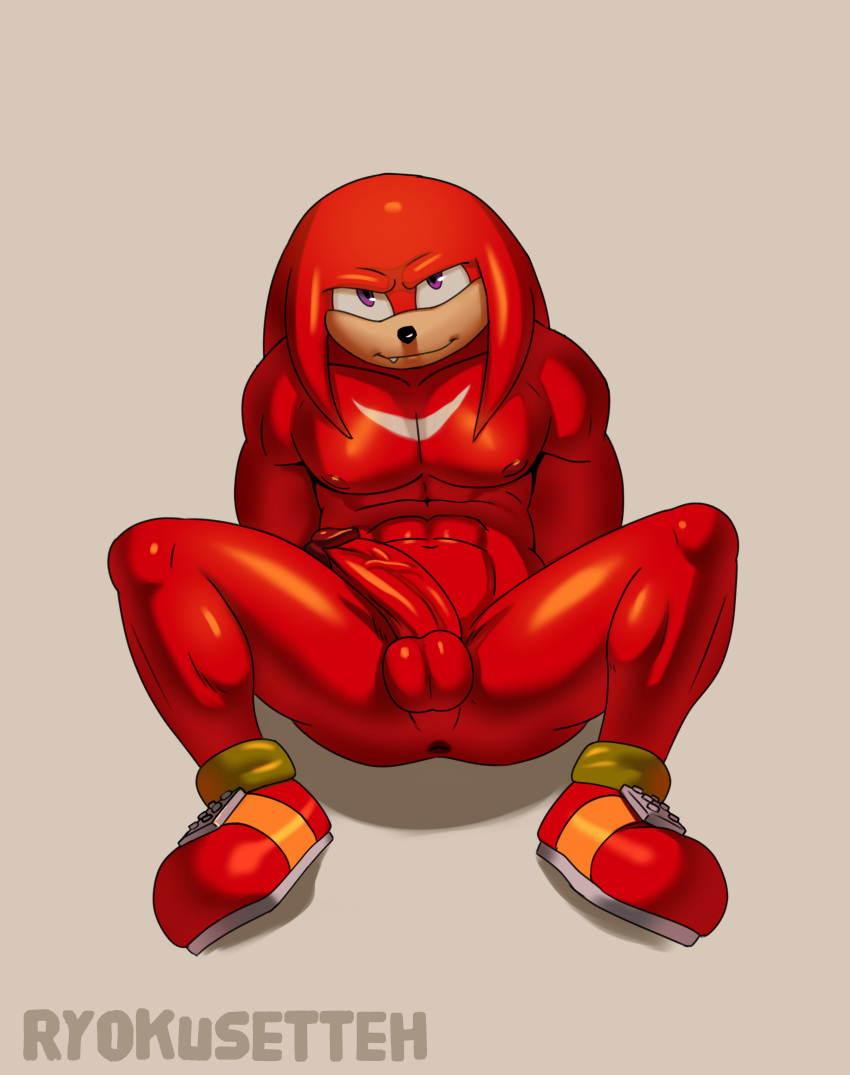 absurd_res anthro anus ass balls big_chest big_penis bodily_fluids clothing digital_media_(artwork) echidna erection eulipotyphlan footwear fur genitals hi_res knuckles_the_echidna male mammal monotreme muscular muscular_anthro muscular_male nipples nude pecs penis ryokusetteh sega shoes smile solo sonic_(series) sonic_the_hedgehog_(series)