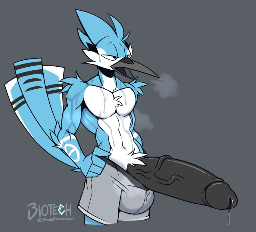 anthro athletic athletic_male avian big_penis bird blue_jay bodily_fluids bulge clothed clothing corvid genital_fluids genitals hi_res huge_cock humanoid_genitalia humanoid_penis jay_(bird) l-tech-e-coyote-l male new_world_jay oscine passerine penis precum solo sweat topless zack_(phosphoruscrow)