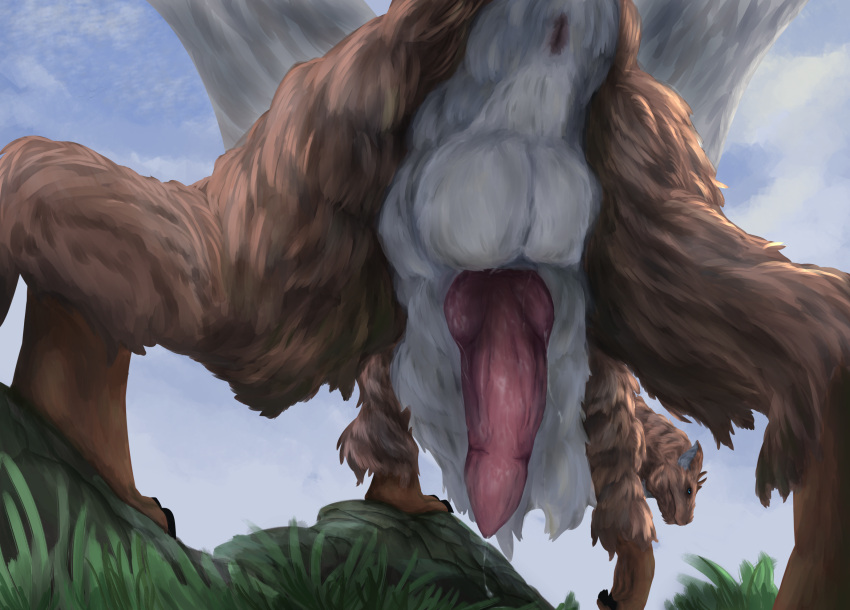 2022 anus ass balls brown_body brown_fur colored countershade_fur countershading dragon erection feral fur furred_dragon genitals hi_res knot looking_at_viewer looking_back looking_back_at_viewer low-angle_view male male_only outside penis presenting presenting_anus presenting_hindquarters quadruped rakess rear_view solo white_body white_countershading white_fur wings