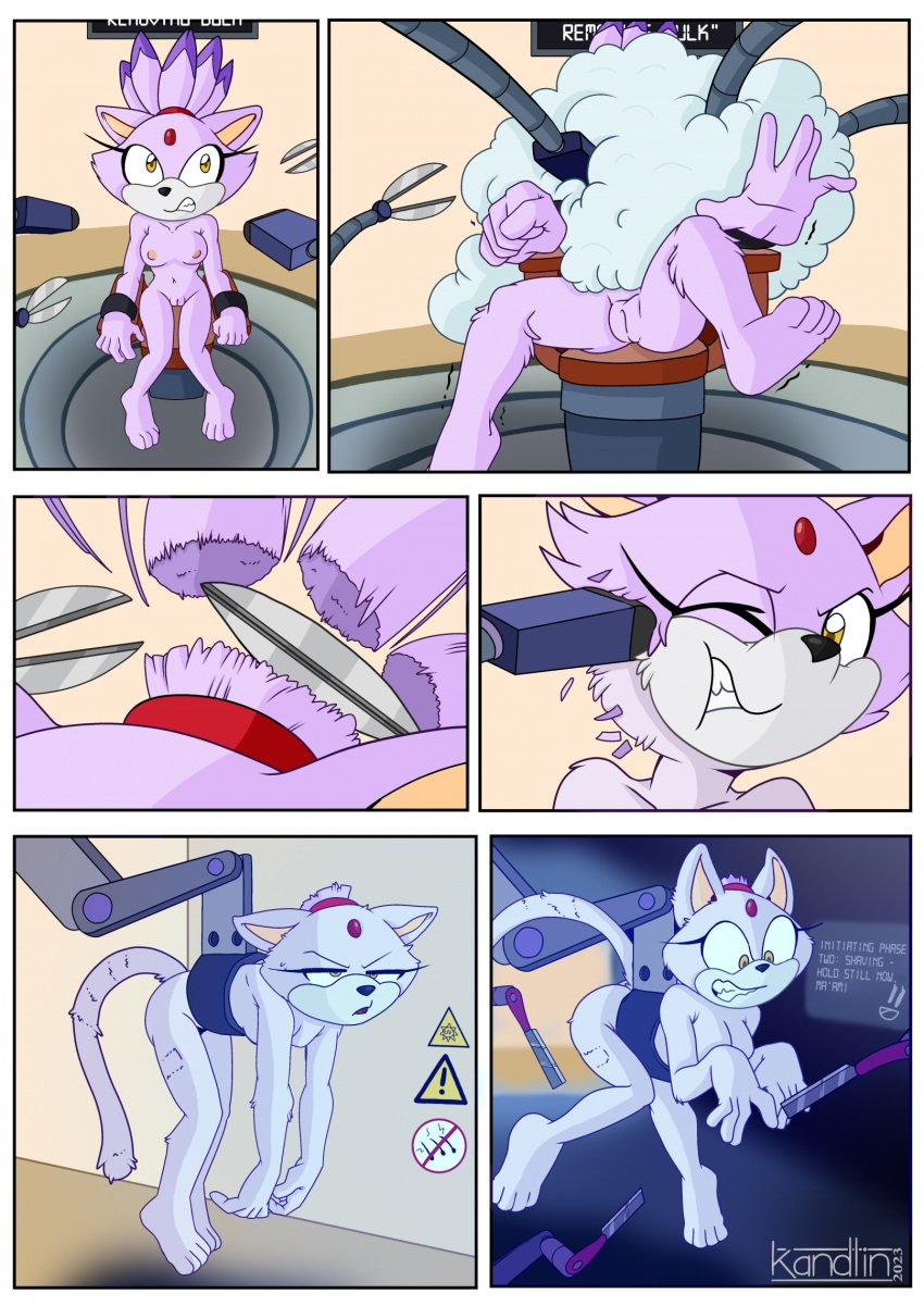 alarmed anthro barefoot blaze_the_cat breasts clippers comic domestic_cat feet felid feline felis female forced_shaving forehead_gem fur genitals haircut headshave hi_res kandlin lord-enemil machine mammal nipples nude permanent permanent_transformation purple_body purple_fur pussy razor restrained restraints robotic_arm sega shaved_fur shaver shaving shaving_cream solo sonic_(series) sonic_the_hedgehog_(series) tools undercoat