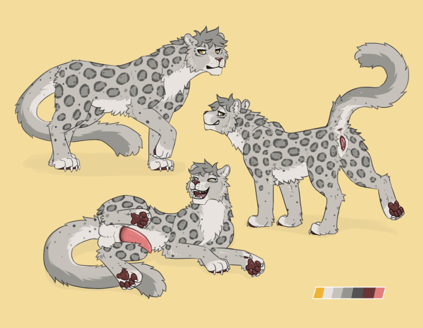 2d anus balls brown_pawpads character_sheet claws digi_(character) digitoxici feline female feral feral_only fur grey_fur grey_hair hair leopard male mammal model_sheet open_mouth pawpads penis pussy simple_background smile snow_leopard solo spots spotted_fur teeth tongue yellow_background yellow_eyes