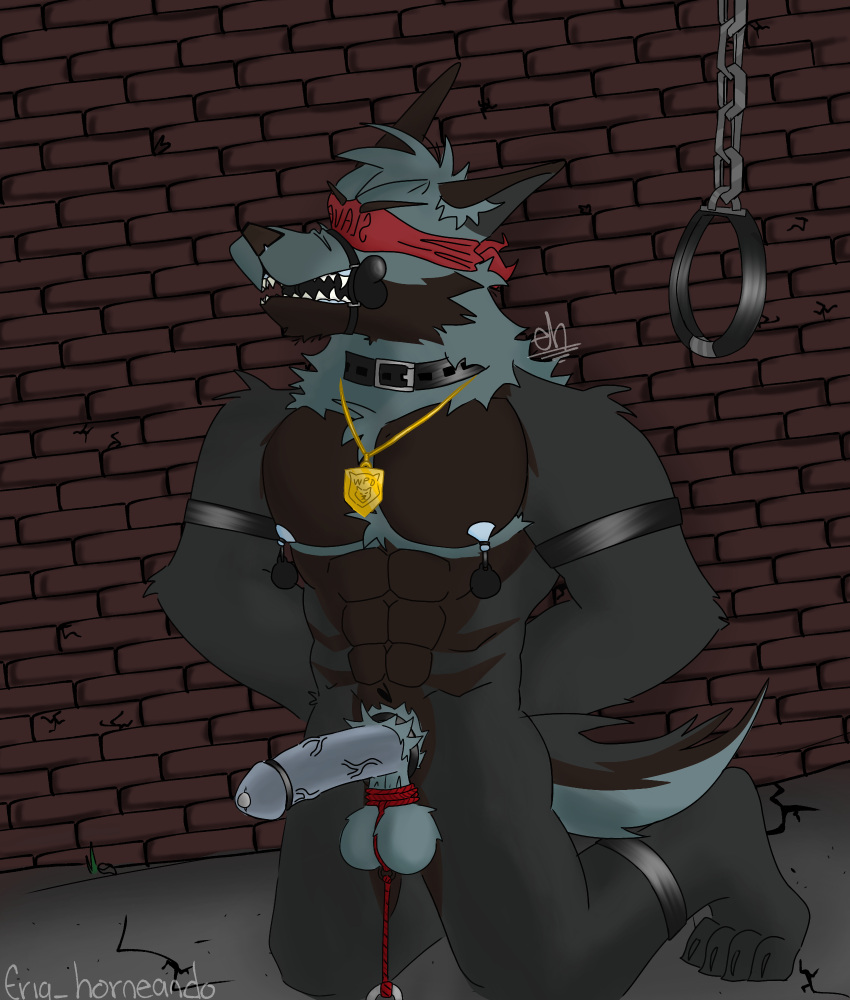 1boy abs angry anthro artist_initials artist_name ball_grab ball_stretcher ball_weight balls ballsack bara belt blindfold body_fur bondage bone_gag bound canine chains cock_ring cock_ring_(decorative) collar erection eriq_horneando forced furry_balls gag genitals grey_body grey_fur hands_behind_back hands_tied hi_res kneeling kneeling_on_ground male male_nipples male_only mammal masculine muscles muscular_male necklace nipple_fetish nipple_pinch nipple_play nipple_slip nude_male pecs penetration penile penile_penetration penis pinch pinup plate pose rage_face restraints rope rope_around_balls rope_bondage scrotum sex_toy sex_toy_insertion solo teeth_showing testicles urethral urethral_penetration vein veiny_penis weights wolf