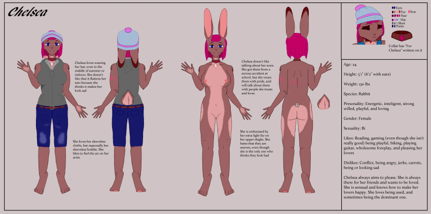 1girls anthro blue_eyes breasts bright_hair brown_fur chelsea_(dkside41) clothed clothing cute female fringe hat lagomorph mammal medium_hair model_sheet nude pink_hair pussy rabbit solo stats unknown_artist