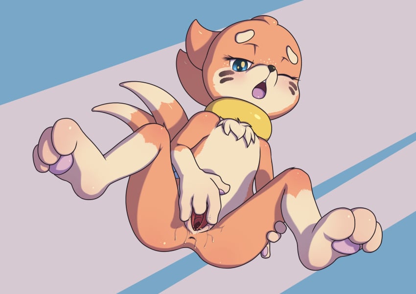 1girls anthro anus blush buizel female female_only masturbation minum nintendo one_eye_closed open_mouth pokémon_(species) pokemon pussy pussy_juice rubbing solo spread_pussy spreading teeth tongue