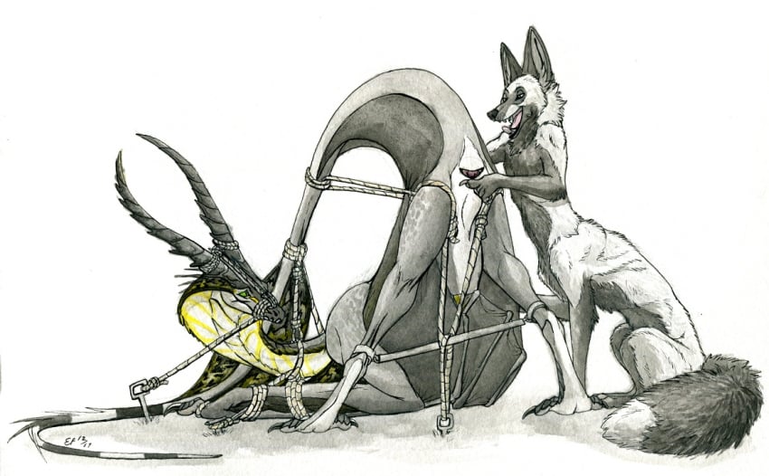 alessa animal_genitalia anthro bondage bound canine cyrus_lovel dragon fox fox_taur lizet mammal rope tail_bondage taur wyvern