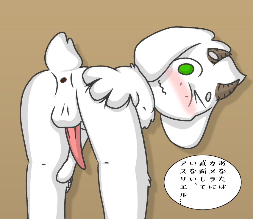 1boy 2d anthro anthro_male anthro_only anus asriel_dreemurr ass balls bent_over caprine furry furry_male furry_only grab_the_butt humanoid humanoid_male humanoid_only humiliation invalid_tag kokoha_is_here looking_at_viewer male male_only mammal mammal_humanoid nude one_eye_closed penis solo undertale undertale_(series) video_games wink