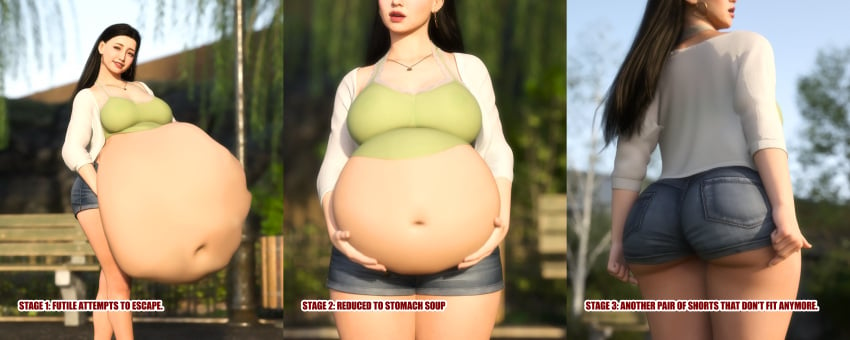 3d asian big_belly digestion diskdata female_pred milf same_size_vore unwilling_prey vore