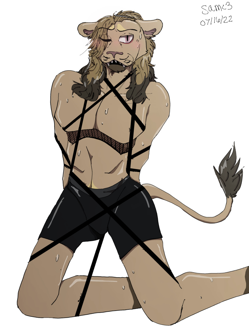 1boy allieboy blush blush bondage boxer_briefs boxers boxers_(clothing) boxers_only brown_fur brown_hair brown_mane closed_eye lion looking_at_viewer looking_pleasured nikolai_(allieboy) oc open_mouth original_character pink_eyes red_fur rope_bondage sweat sweatdrop sweating tan_fur tan_hair tan_mane yellow_fur