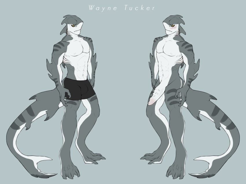 anthro blue_background blush bulge clothed clothing english_text erection fish hi_res looking_at_viewer male male_only marine multiple_poses muscular muscular_male penis pose shark simple_background solo stripes text topless twistedaart wayne