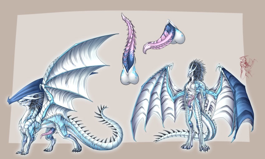 aerusan anthro balls barbed_penis bluekite camo crest dragon feathers feral floof fluffy male model_sheet penis pose prehensile_(disambiguation) proud saybin_iacere smile smirk standing western wings