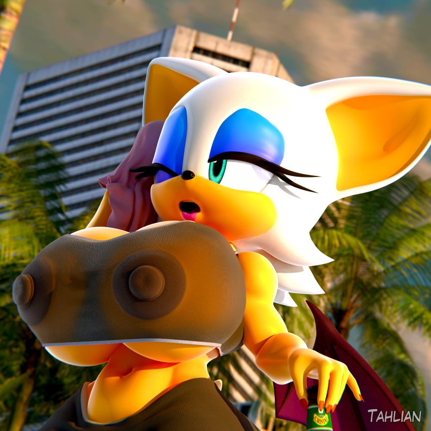 1girls 3d 3d_model alternate_breast_size breasts busty curvy female female_only mobian mobian_(species) mobian_bat rouge_the_bat sega solo sonic_(series) sonic_adventure_2 sonic_the_hedgehog_(series) tahlian transparent_clothing