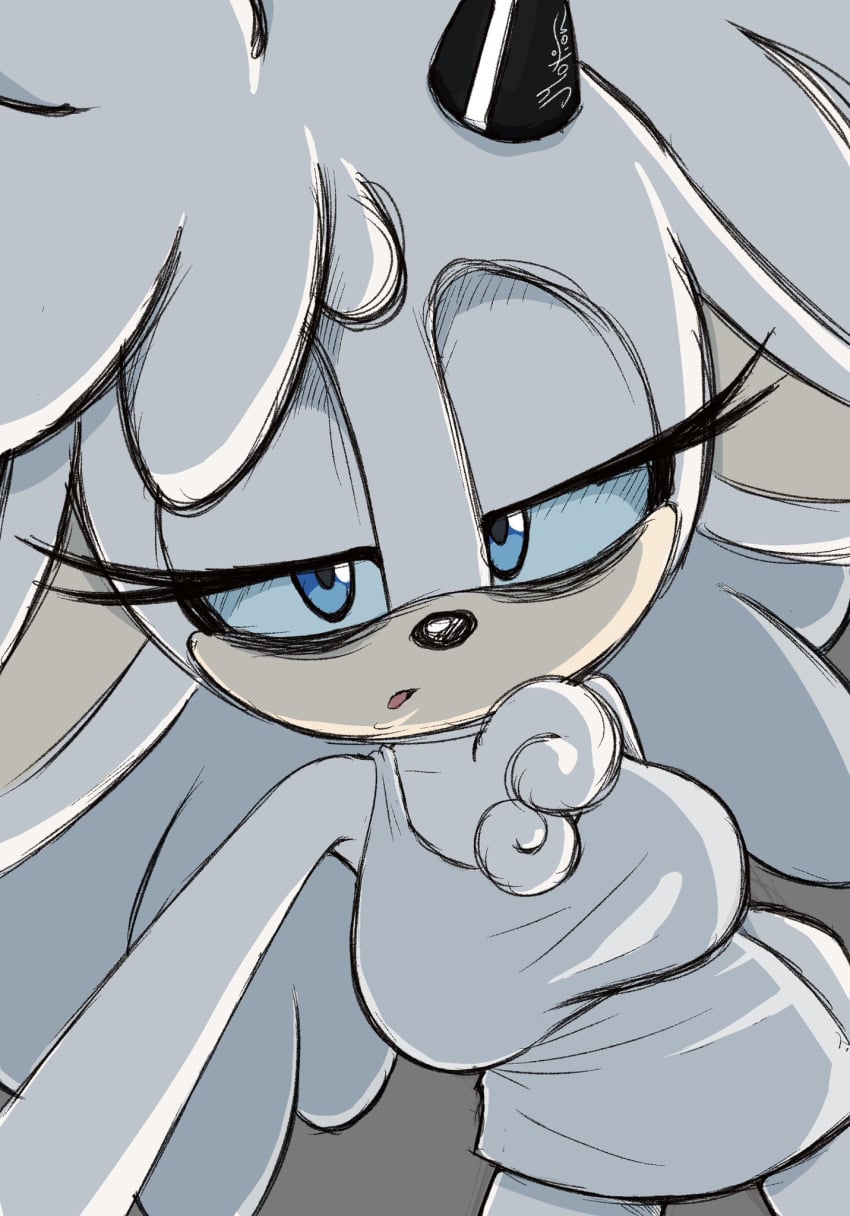 Sonic (Series) Rule 34 Image