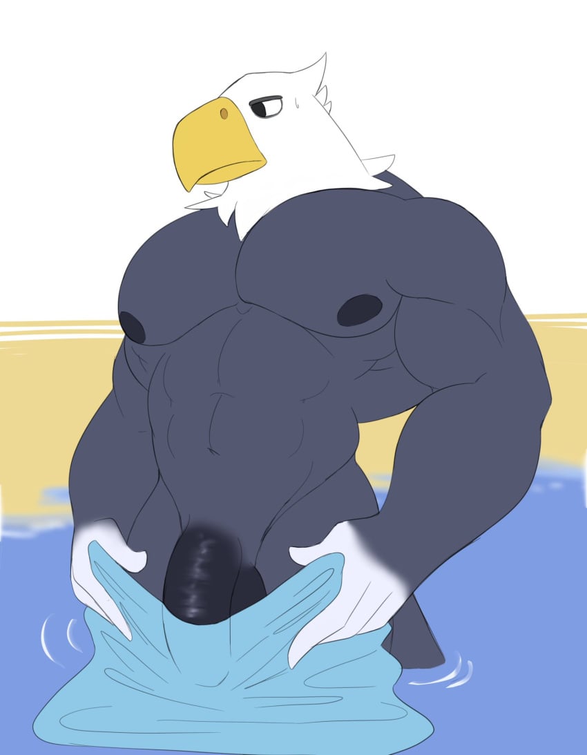 animal_crossing anthro apollo_(animal_crossing) avian balls bara bird flaccid furry male male_only muscles muscular nintendo penis solo solo_male towel unrealrui