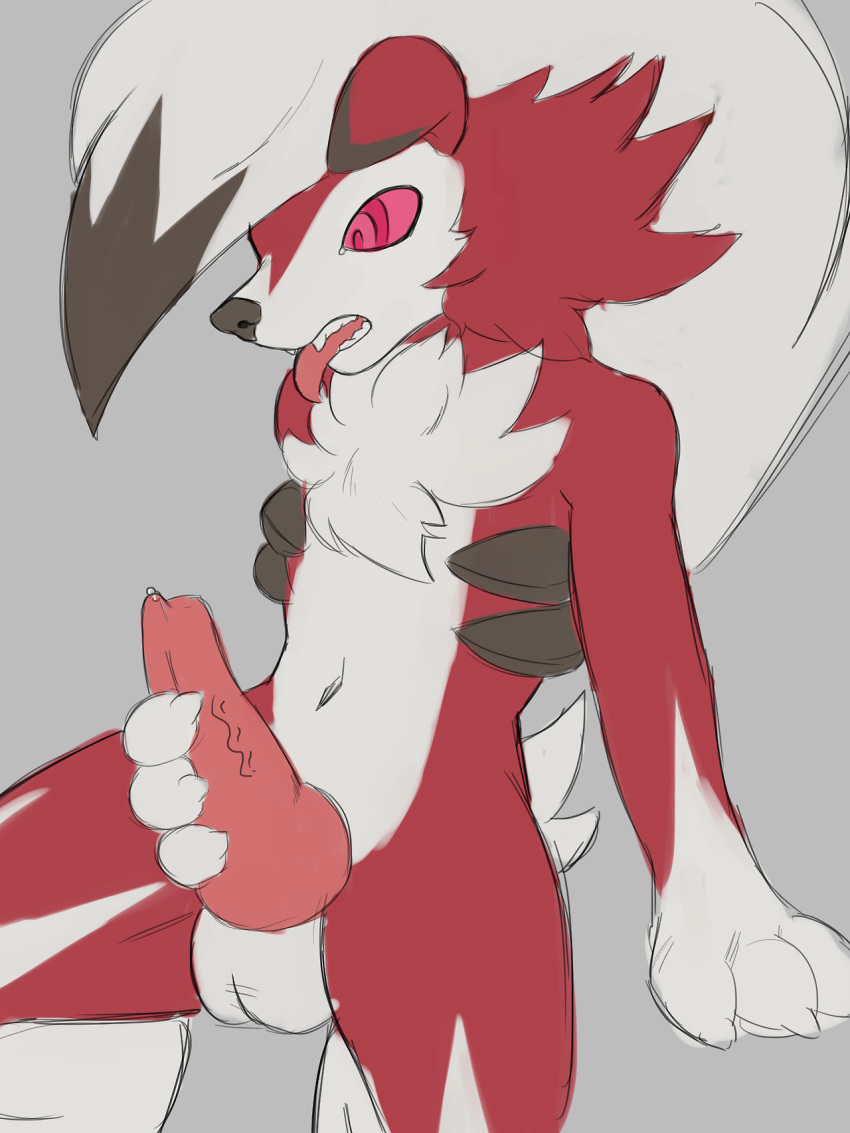 1boy 2017 animal_genitalia animal_penis anthro canine canine_penis digital_media_(artwork) erection fur furry grey_background hair hi_res jokoifu knot lycanroc male male_only mammal masturbation midnight_lycanroc nintendo open_mouth paws penis pokémon_(species) pokemon pokemon_sm red_eyes simple_background solo teeth testicles toes tongue tongue_out veins veiny_penis video_games white_fur