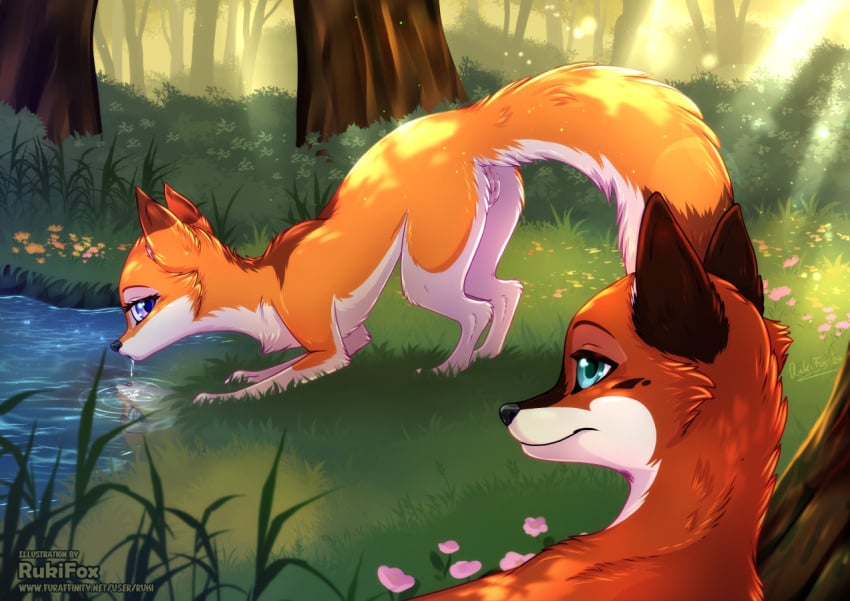 ambiguous_gender blue_eyes canid canine drinking duo feral fox fur genitals grass humanoid_genitalia humanoid_genitalia_on_feral humanoid_pussy humanoid_pussy_on_feral mammal orange_body orange_fur outside plant pussy riki_(rukifox) rukifox water