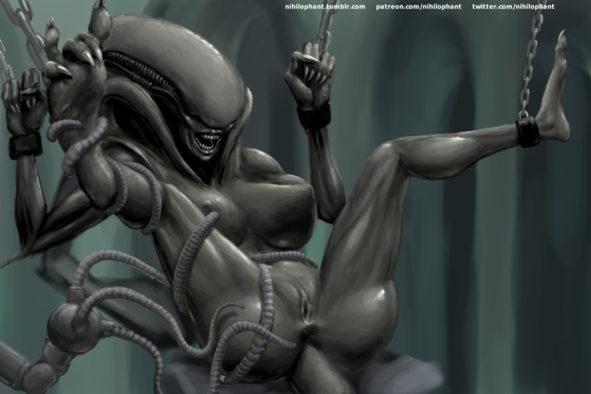 alien alien_(franchise) anus ass bondage bound breasts chains feet female female_xenomorph feral_only handcuffs humanoid lips monster monster_girl_(genre) nihilophant nipples pussy shackles smile solo teeth tentacle xenomorph