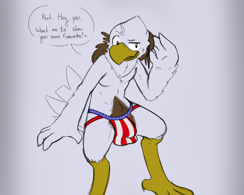 accipitrid accipitriform american_flag avian beak big_bulge bird brown_body brown_feathers bulge clothed clothing eagle feathers feet ferrissimulator flag furry haywood hi_res invalid_color jockstrap male partially_clothed solo tagme talons toes underwear united_states_of_america white_body white_feathers