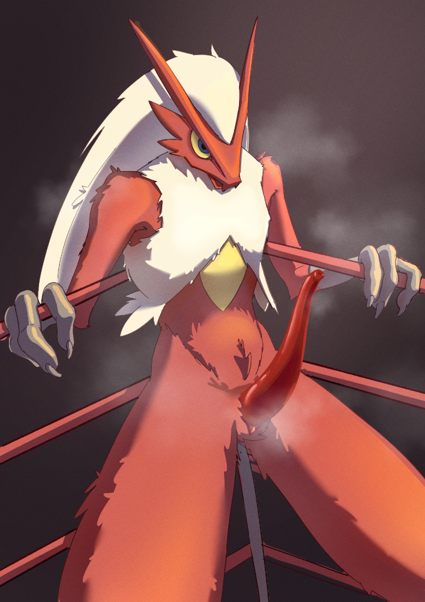 animal_genitalia animal_penis blaziken blue_eyes dark_background dick fighter fighting_ring male male_only pokemon pokemon_(species) red_fur red_penis solo solo_focus white_hair